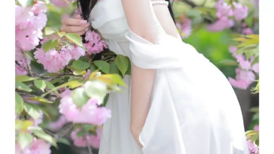 52视频、每日精选在线与52：原创校园《这条线索只有我看得懂》播放预览封面